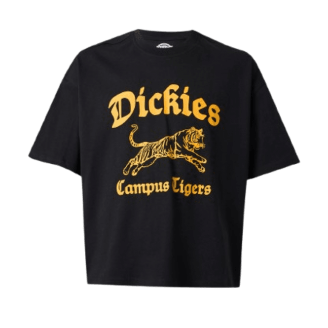 Dickies Apalachicolsa Ss Tee in Black