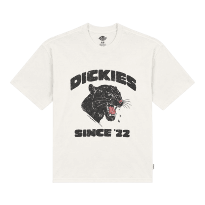 Dickies Mcdermitt Ss Tee in Egret