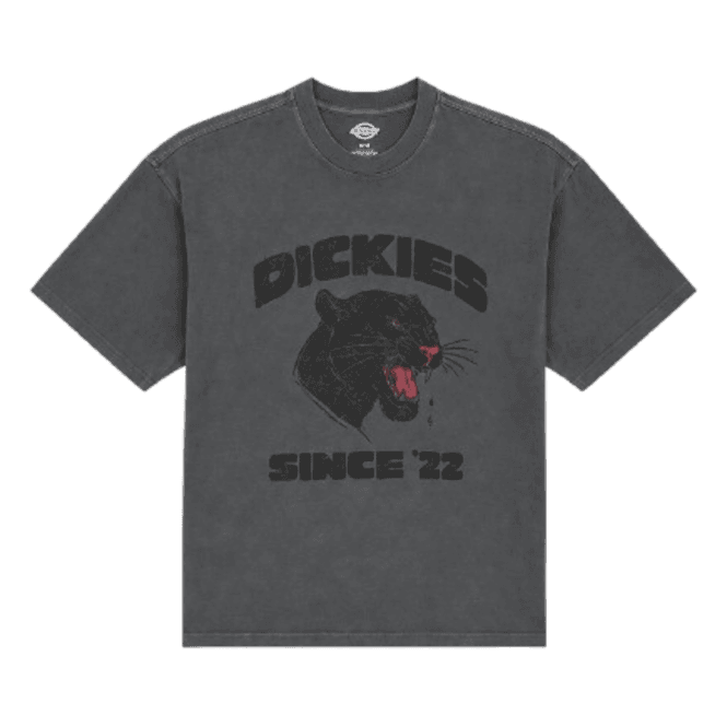 Dickies Mcdermitt Tee in Charcoal