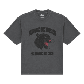 Dickies Mcdermitt  Tee in Charcoal