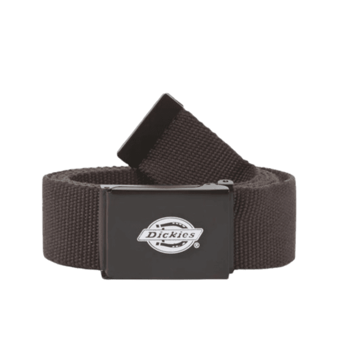 Dickies Orcutt Webbing Belt in Dark Brown