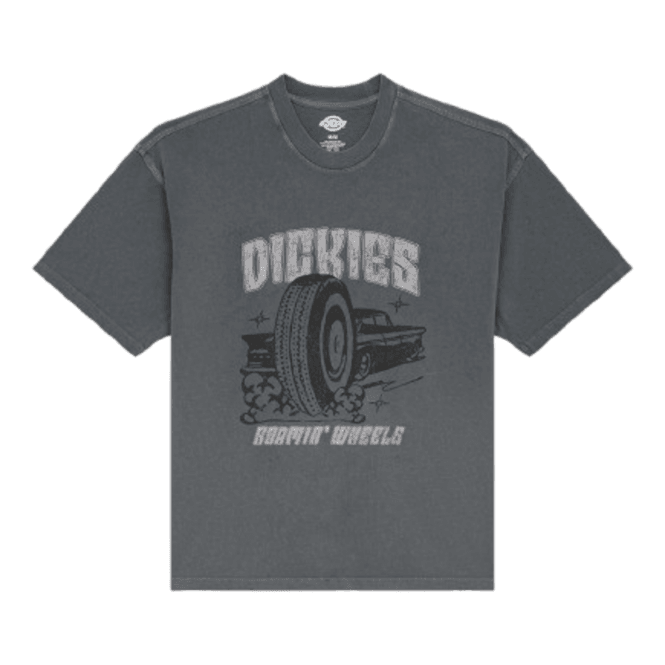 Dickies Titusville Ss Tee in Charcoal