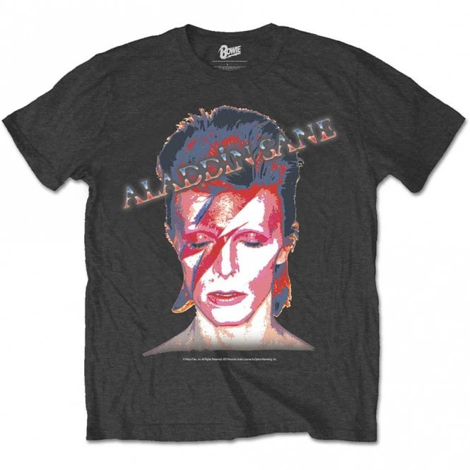 Rock Off Aladdin Sane Black