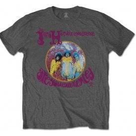 Rock Off Are You Experienced Jimi Hendrix Grey